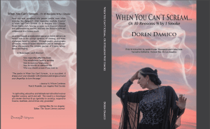 when-you-cant-scream-cover-doren-damico